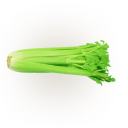 juice